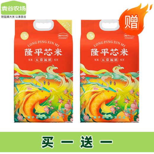 【买一送一 共发两袋】袁谷农场五常福稻5kg 商品图0