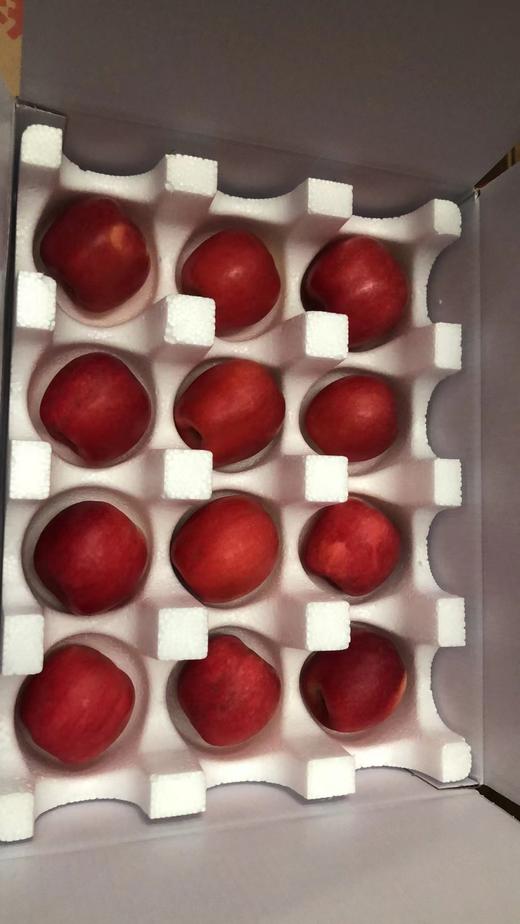 【顺丰快递】正宗陕西白水瑞香红苹果  新鲜当季水果 果园直采 原产地直发 - BBSPG 商品图5