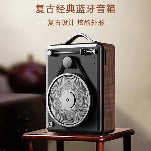 塞尔兰斯 复古蓝牙音响 轻巧便携 持久续航 HiFi音质 DW03 商品图8