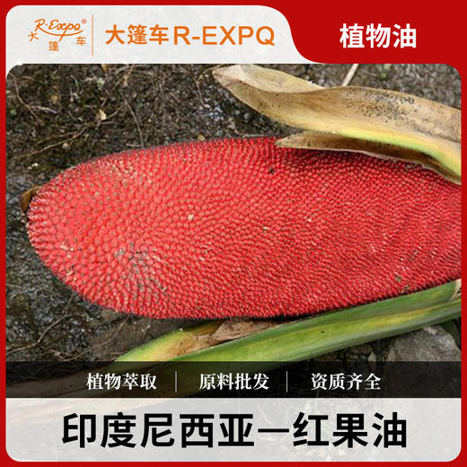 红果油印度尼西亚进口原料批发植物基底油美容按摩Buah Merah 商品图0