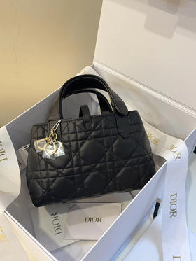 Dior 黑银 藤格纹 牛皮 小号 横版 土著包