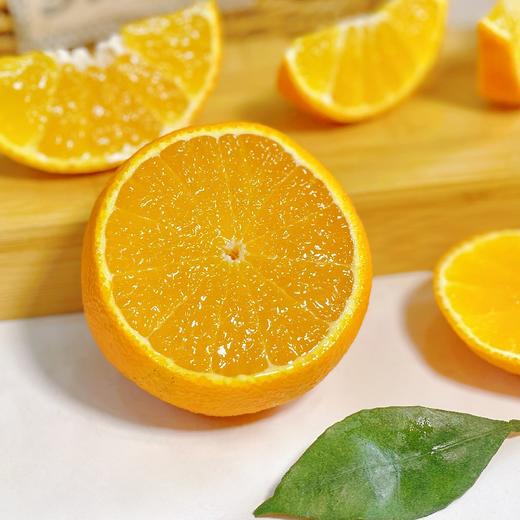 福建红美人 商品图5