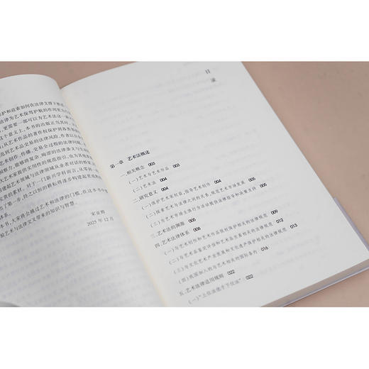 艺术家的法律启蒙 宋亚洋 朱雨婷著 法律出版社 商品图4