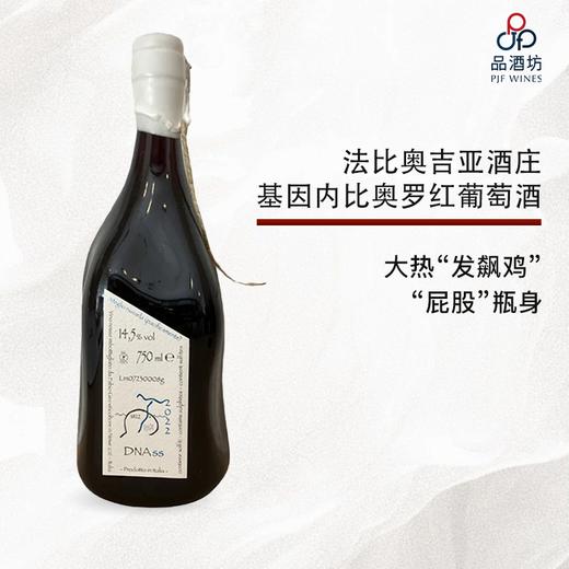 2022 Fabio Gea DNASS 法比奥吉亚酒庄基因内比奥罗红葡萄酒 2022 商品图0