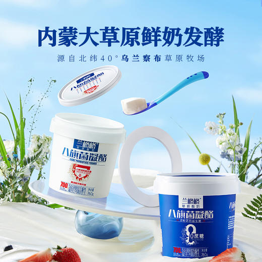 兰格格八旗菌凝酪760g*1桶+凝酪0蔗糖760g*1桶 商品图2