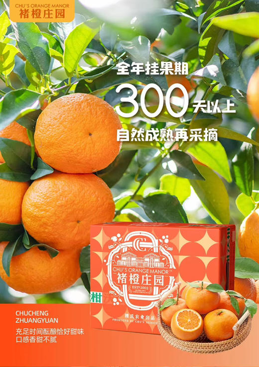 褚橙庄园沃柑礼盒4kg装 商品图1