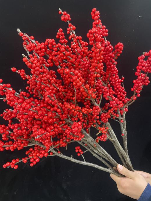 天物冬青秋实A50cm批发 商品图1