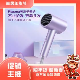 美的 电吹风 FJ306【粤湾】