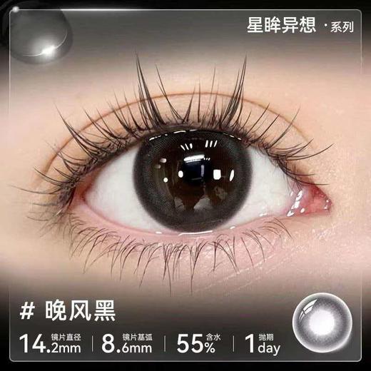 【分仓自选区】海昌星眸异想系列日抛2片装-晚风黑 商品图0