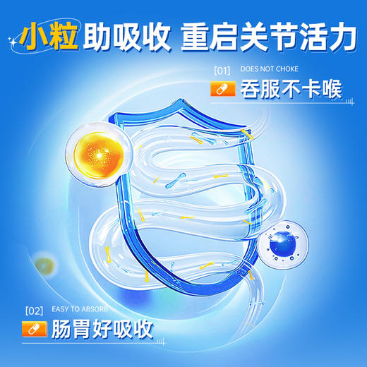 修正 海斯莱福@氨基葡萄糖硫酸软骨素钙胶襄   10粒/盒 商品图4