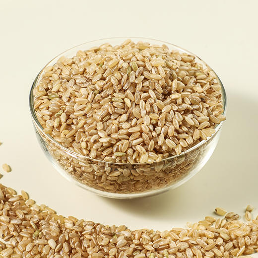 袋鼠小布黑龙江粳米780g罐装 粒粒饱满自然香软胚芽米健康主食 商品图3