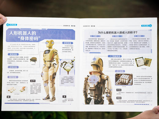 《少年科普报》2026全年订52期|小学科学素养报，一期吃透一个科学主题，横跨10大知识领域，理科启蒙零距离，早读早开窍 商品图10