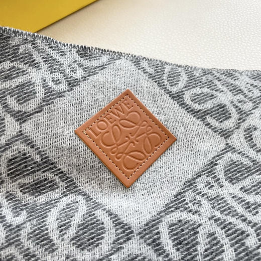 秋冬特惠💰300 罗意威围巾 新款男女中性款【LW条纹长巾】 商品图8