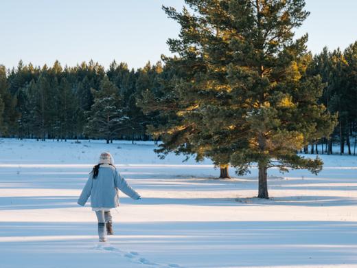 呼伦牧雪 | 内蒙呼伦贝尔阿尔山冬季6日 商品图1