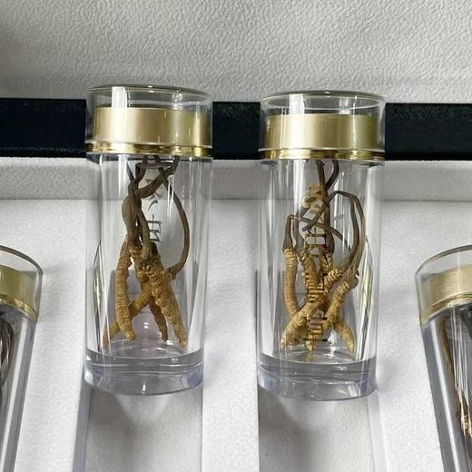 【干虫草】礼盒，4900米雪山直采 商品图1