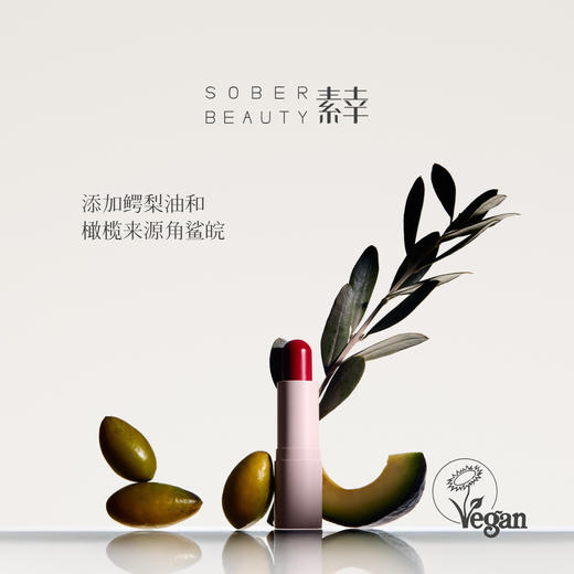 素幸柔光简彩唇膏 商品图4