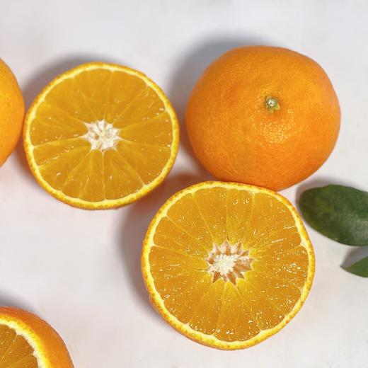 福建红美人 商品图4