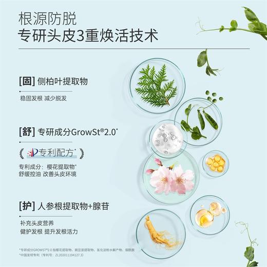 瑞士豌豆苗防脱洗发水强韧发根控油蓬松女男Fortro赋强育发洗发露 商品图4