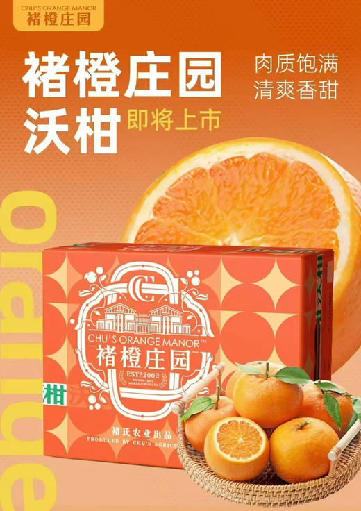褚橙庄园沃柑礼盒4kg装 商品图5