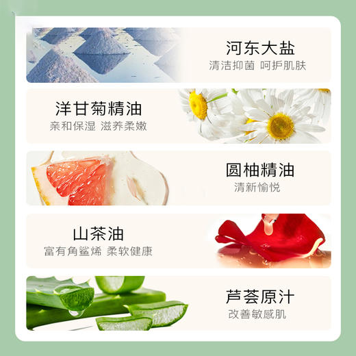 中华熊猫一家亲礼盒 商品图5