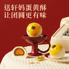 【品牌直发】 轩妈蛋黄酥经典红豆味2026新春款55g*6枚*2盒   商品缩略图2