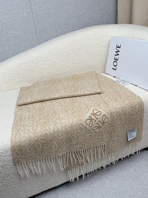 秋冬特惠💰300 罗意威围巾【棋盘格-植绒-刺绣】 商品图5