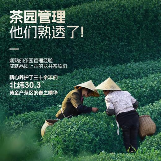 【熟透了明前特级】2025年卢正浩特级龙井钱塘龙井高山龙井茶200g 商品图4