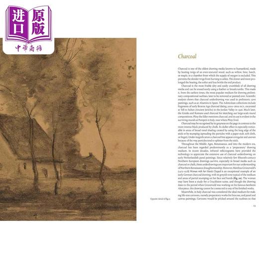 【中商原版】Techniques of Drawing 进口艺术 绘画技巧: 从欧洲到亚洲的历史视角 商品图3
