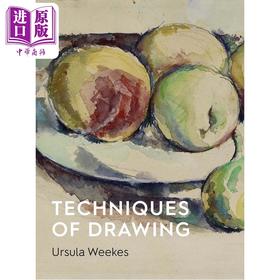 【中商原版】Techniques of Drawing 进口艺术 绘画技巧: 从欧洲到亚洲的历史视角