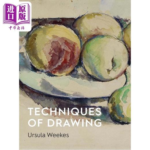 【中商原版】Techniques of Drawing 进口艺术 绘画技巧: 从欧洲到亚洲的历史视角 商品图0