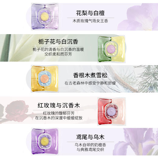 绽家蓝桉叶精油双重爆香四腔洗衣凝珠持久留香除菌灭螨护色六合一 商品图4