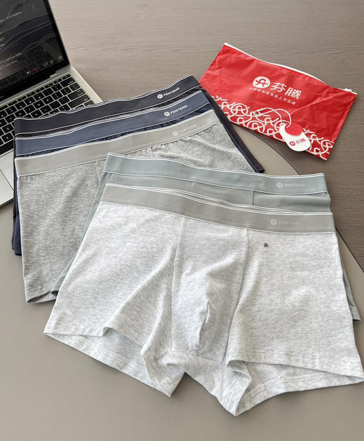 芬腾男士10A抗菌纯棉环保内裤5条装 商品图0