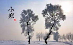  小寒养生｜重在温养脾肾，三个食疗方助您安然过冬～