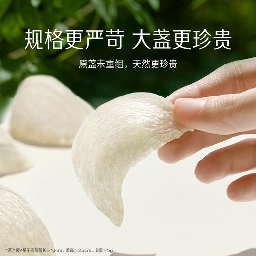 【官方直营◆5星干燕窝】燕之屋原盏干燕窝100g燕盏 礼盒装 正品溯源印尼干盏｜商务送礼 春季滋补 送礼礼盒  健康礼品 【认准旗舰店】 商品图2