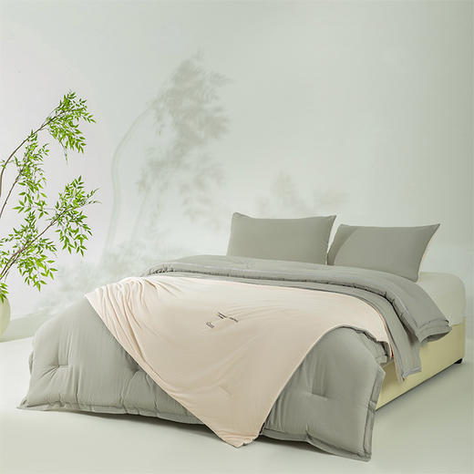 顶柔一品蚕柔可水洗蚕丝控温被BX2265 商品图3