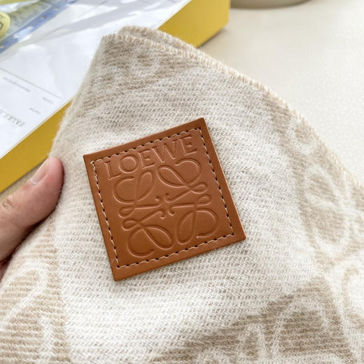 秋冬特惠💰300 罗意威围巾 新款男女中性款【LW条纹长巾】 商品图8