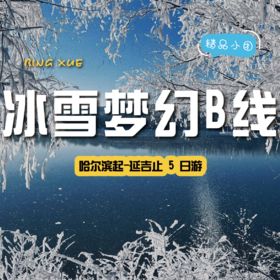 【冰雪梦幻B线2-8人精品小团】5天4晚亚雪公路+童话雪乡+滑雪+冰雪画廊+长白山+延吉+温泉