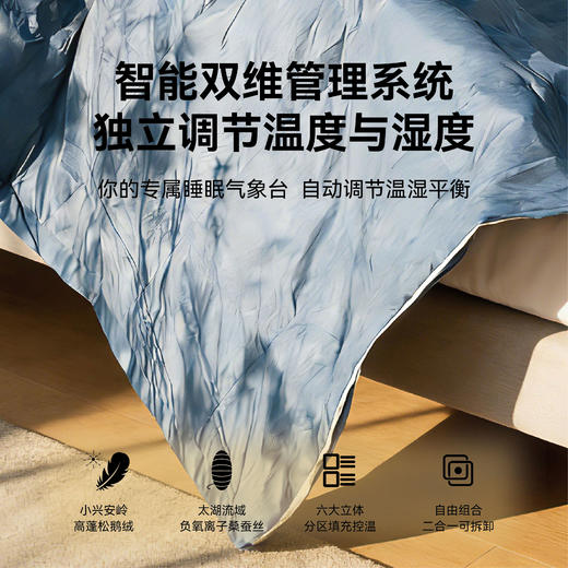 舒沐鹅绒蚕丝多合一控温被 商品图2