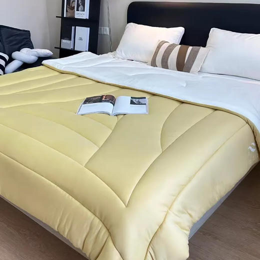 巨暖和！轻软蓬，赛鹅绒！恒源祥 新款云朵秋冬被 比鹅绒更柔软更温暖 绗缝花色（单被子） 商品图13