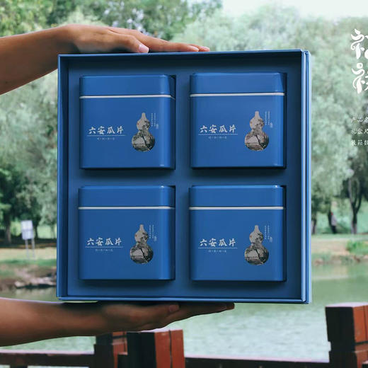 霍山佬六安瓜片特级400g （ahhsl） 商品图1