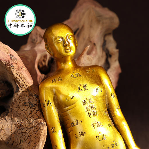 黄铜针灸穴位铜人全身穴位经络模型大诊所药店装饰扎针中医药医馆 商品图9