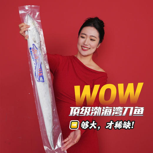 【顺丰快递】渔礼记·渤海湾刀鱼礼盒 🧧渤海第一珍 人间第一鲜 🧨山海珍馐贺新岁 🐟一尾鲜刀纳百福 商品图1