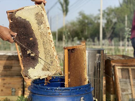 限时特惠 | 新疆阿克苏野生花蜜 冰糖心苹果花蜜/沙枣蜜 商品图10