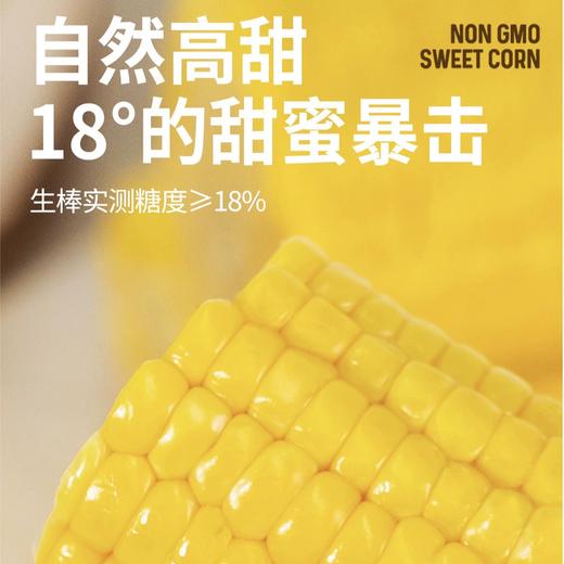 【甜蜜暴击】有机种植 泰溢五季 东北水果甜玉米甜度≥18° 低脂轻食 代餐粗粮 0农残 10倍锁鲜 真空包装 商品图2