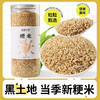 袋鼠小布黑龙江粳米780g罐装 粒粒饱满自然香软胚芽米健康主食 商品缩略图0