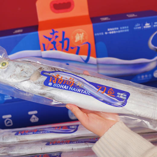 【顺丰快递】渔礼记·渤海湾刀鱼礼盒 🧧渤海第一珍 人间第一鲜 🧨山海珍馐贺新岁 🐟一尾鲜刀纳百福 商品图8