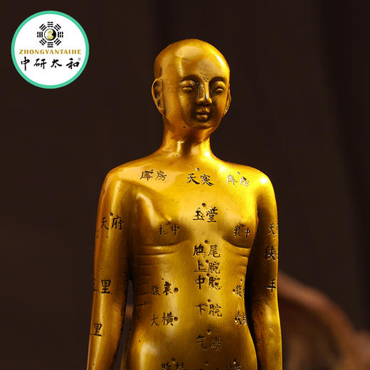 黄铜针灸穴位铜人全身穴位经络模型大诊所药店装饰扎针中医药医馆 商品图7