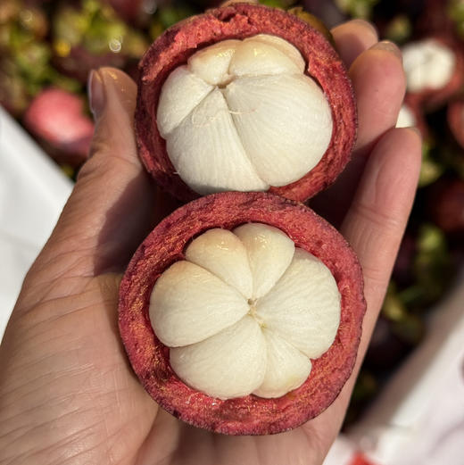 空运4A老树山竹 商品图3