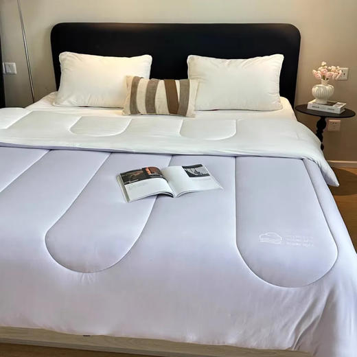 巨暖和！轻软蓬，赛鹅绒！恒源祥 新款云朵秋冬被 比鹅绒更柔软更温暖 绗缝花色（单被子） 商品图14