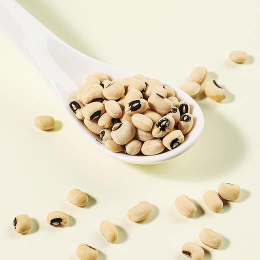 袋鼠小布云南高原黑嘴眉豆 720g/罐 粒大饱满 素食优选 商品图6